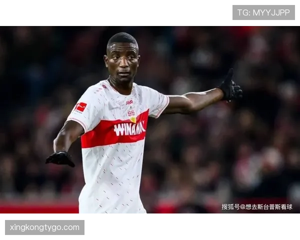 从支点到终结者：博尼法斯的角色进化