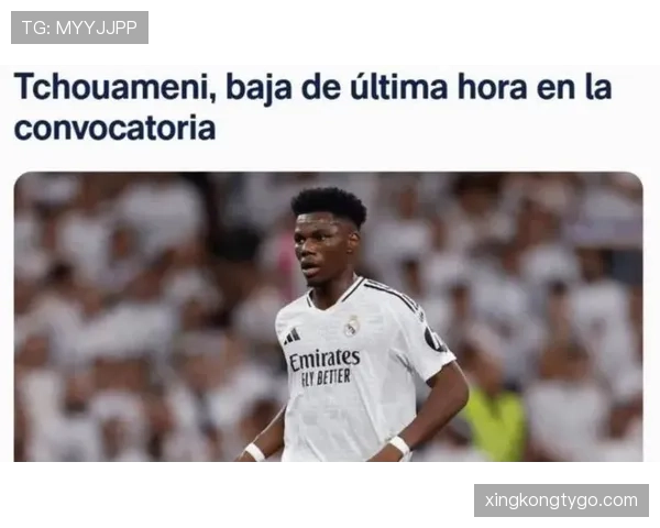 琼阿梅尼在皇马战术地位与表现争议